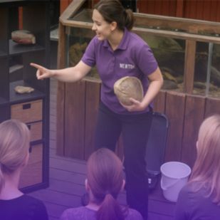 a presenter engages an audience holding a large shell