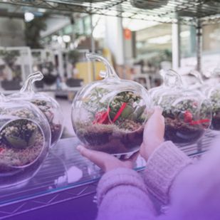 a person holds a glass terrarium filled with plants